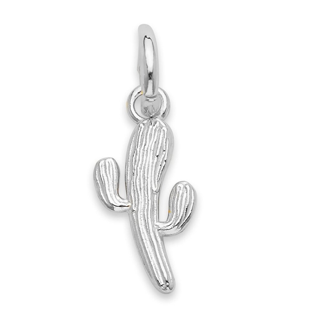 925 Sterling Silver Cactus Charm - Cute Western Jewelry Gifts for Her